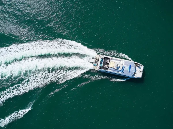 Do You Need to Take a Ferry to Phillip Island.