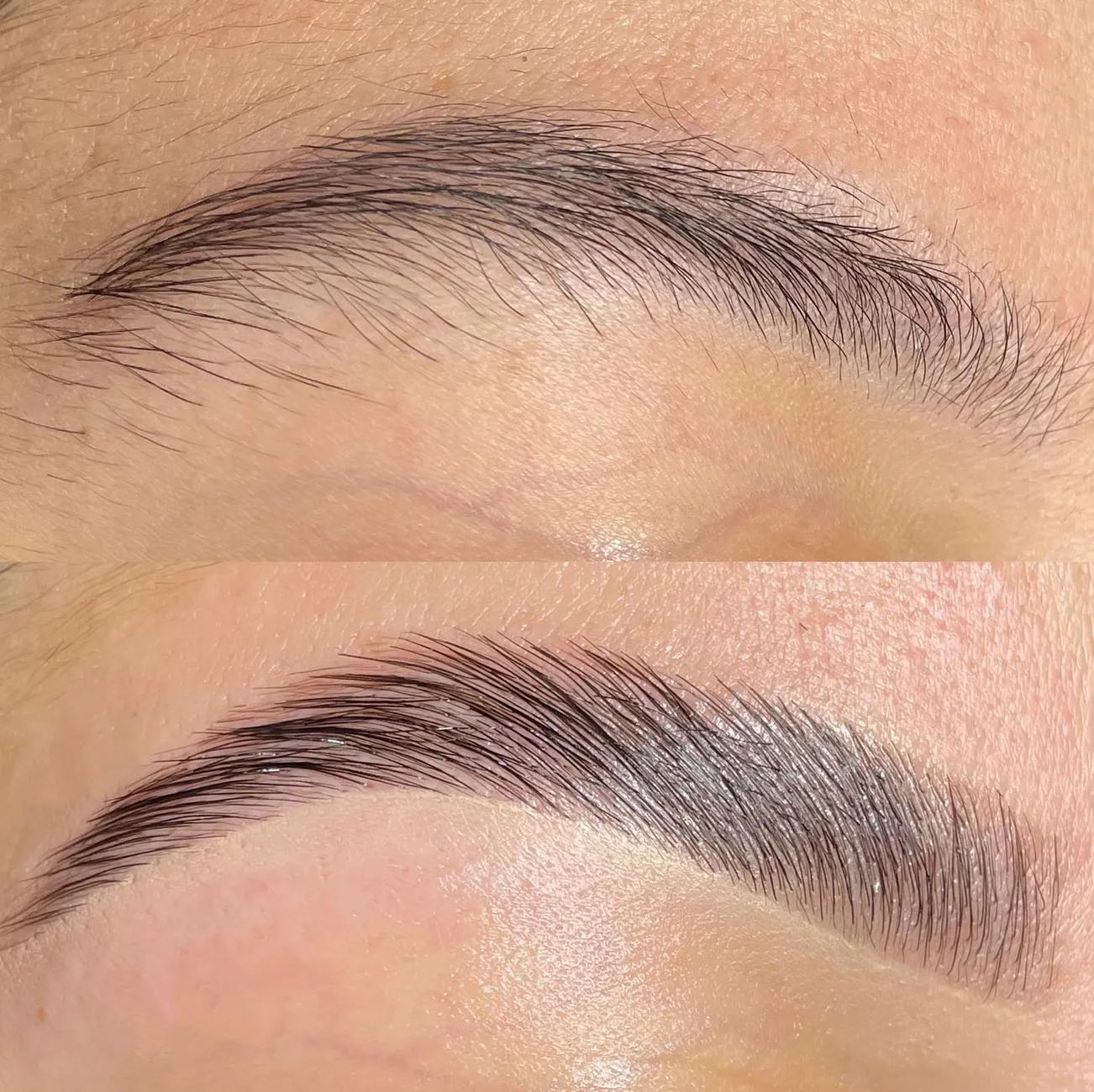 Brow lamination course