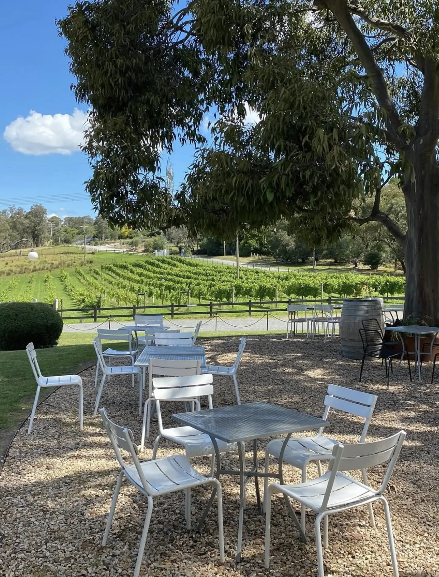 best wineries yarra valley