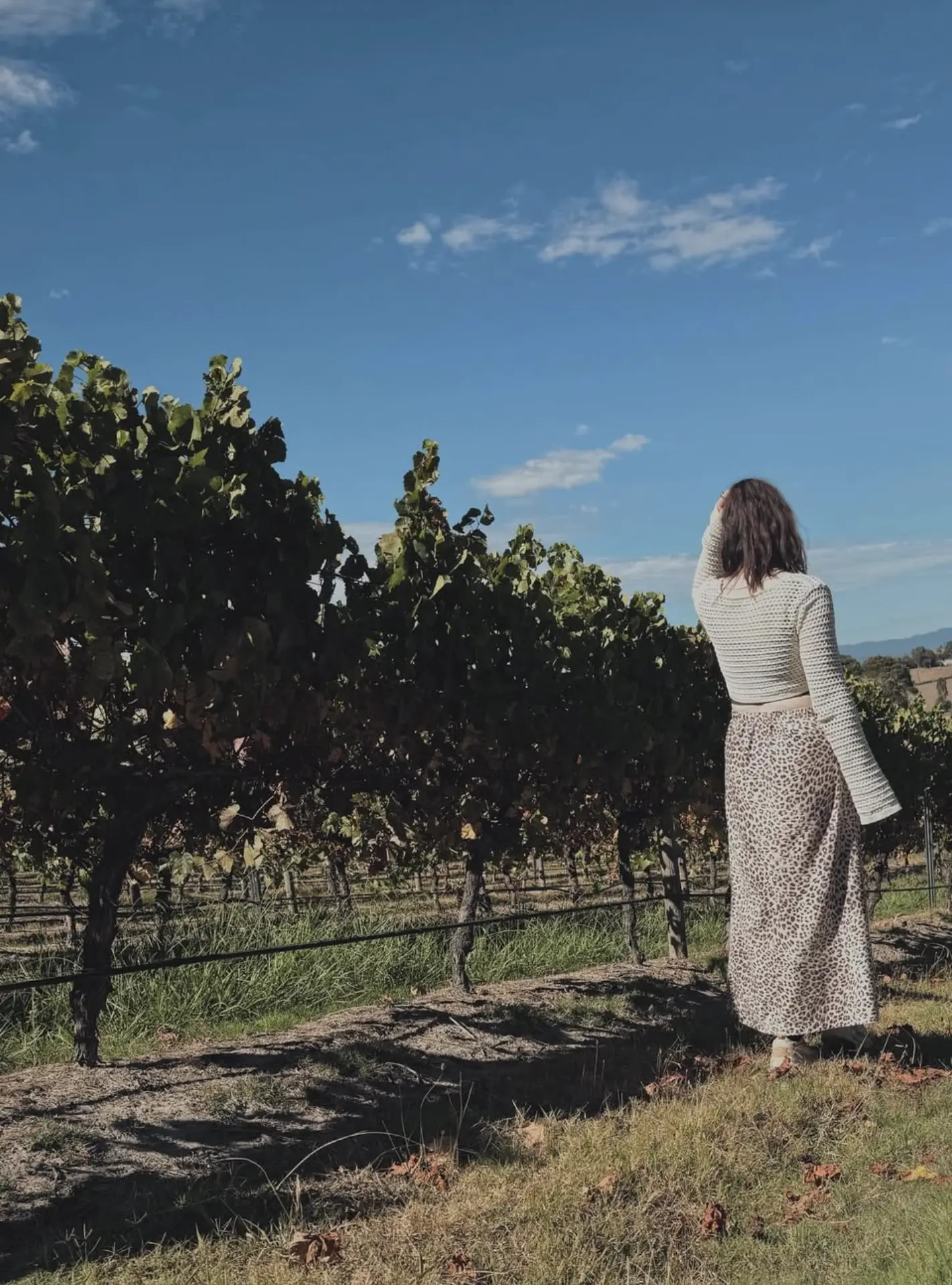 yarra valley wineries