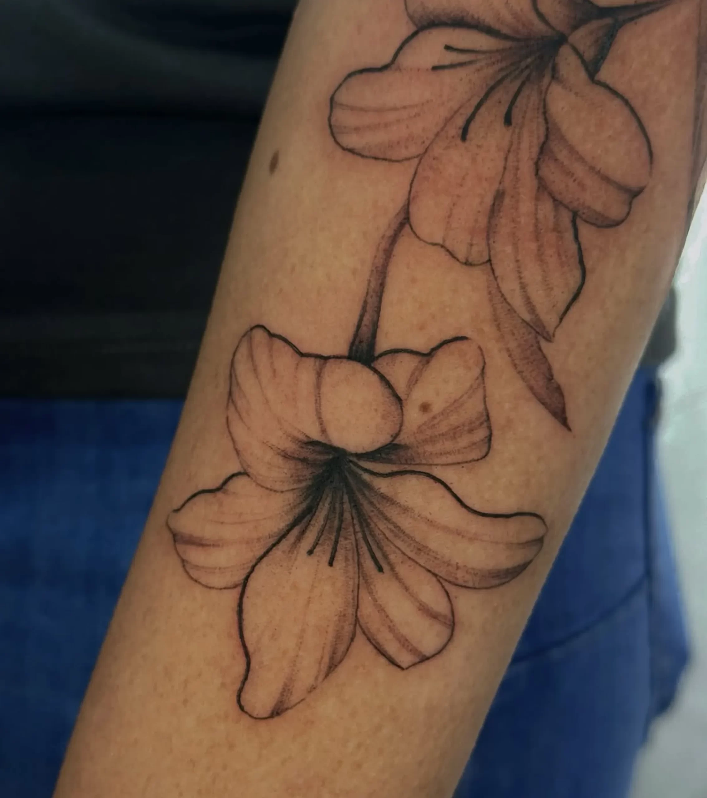 tattoo healing process lines
