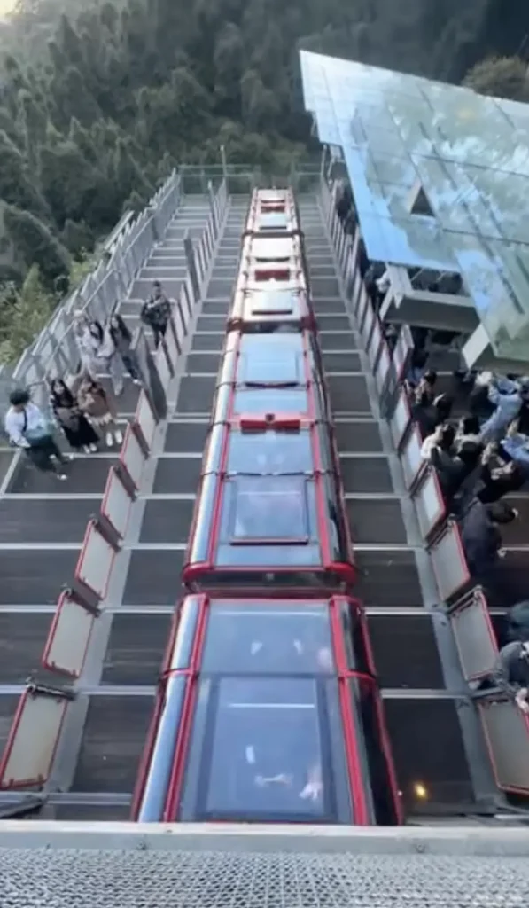 Scenic World Rides That Actually Feel Wilder In Winter