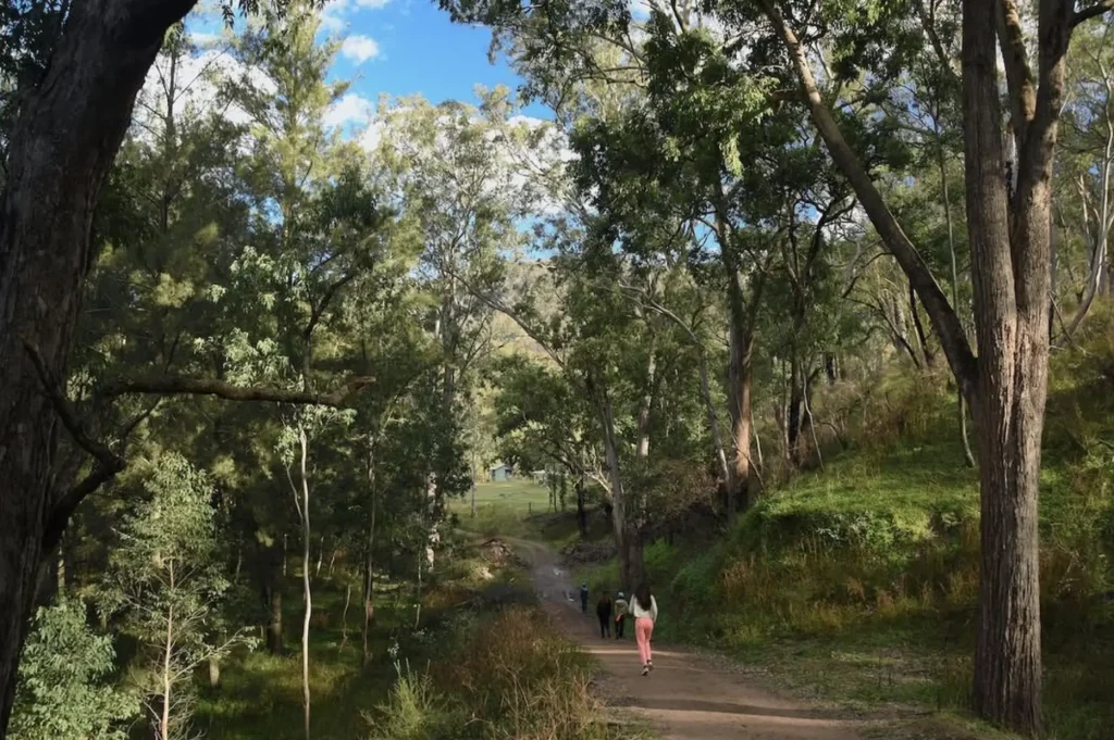 Winter Walks That Feel Better In The Cold